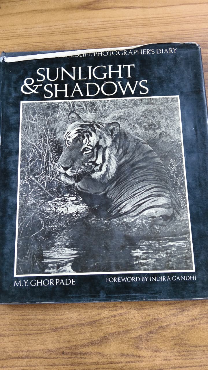 Sunlight & Shadows